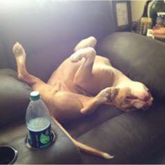 Meet your Posher, Christine - Picture 3 of 16